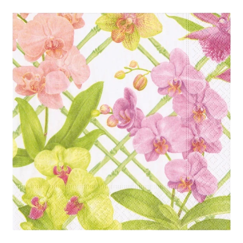 Conservatoire d'orchidées Caspari 18370C