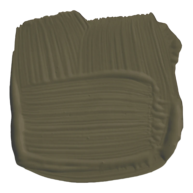 Farrow & Ball Farrow Ball Couleurs Cristopher John Rogers Marron Cardamome CB 5