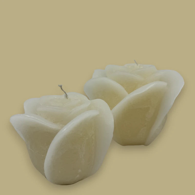 Dekocandle Bougie Rose Medium Ivory C40909