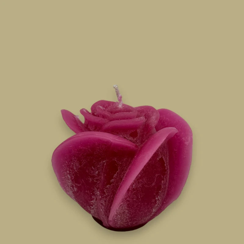 Dekocandle Bougie rose moyenne Fuchsia C40937