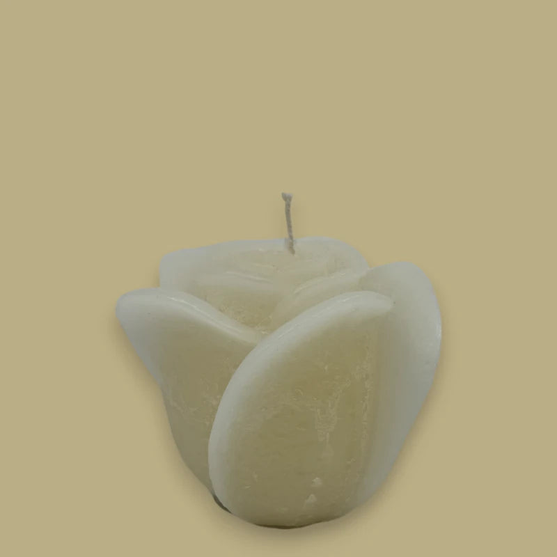 Dekocandle Bougie Rose Medium Ivory C40909