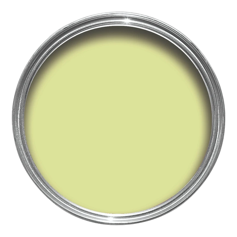 Farrow & Ball Farrow Ball Couleurs Cristopher John Rogers Jaune Hog Plum CB 1