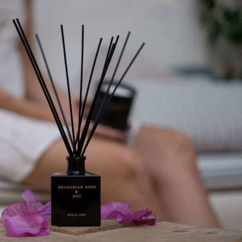diffuseur de parfum d'intérieur haut de gamme bâtonnets parfumés spray interior