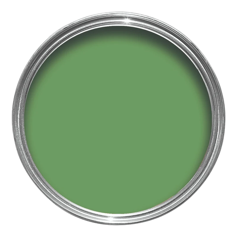 Farrow & Ball Farrow Ball Couleurs Cristopher John Rogers Vert Raw Tomatillo CB 6
