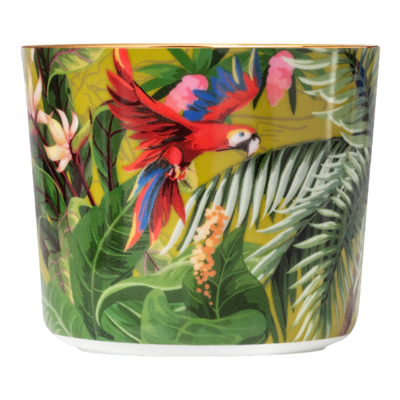 SIEGER by Fürstenberg Porcelaine Sip Of Gold Coupe à champagne Jungle Paraiso