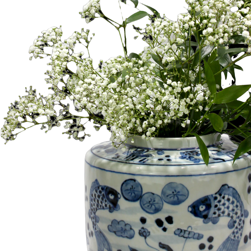 Asiatides Vase à couvercle Poissons