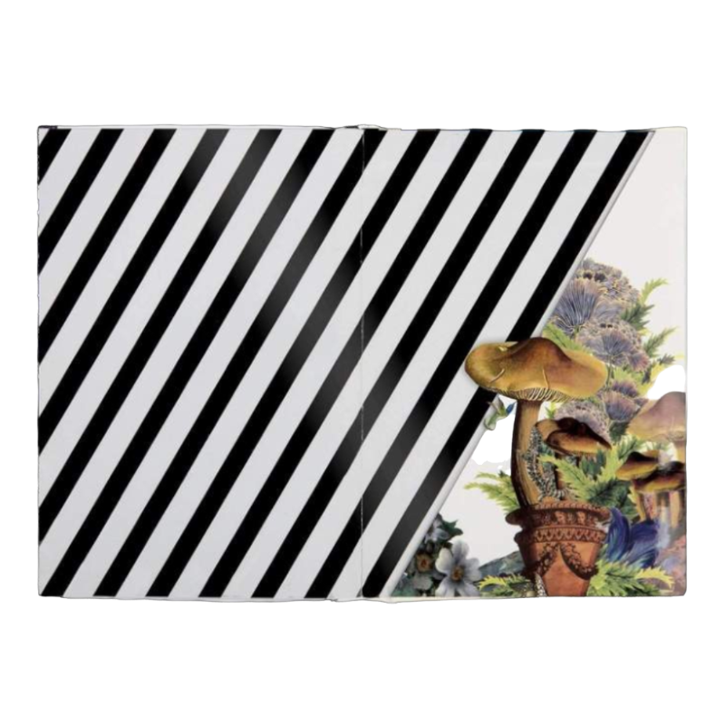 Christian Lacroix Idylle en Vol Carnet de notes A5