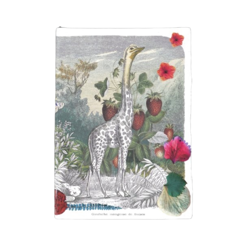 Christian Lacroix Wild Nature Carnet de notes A6