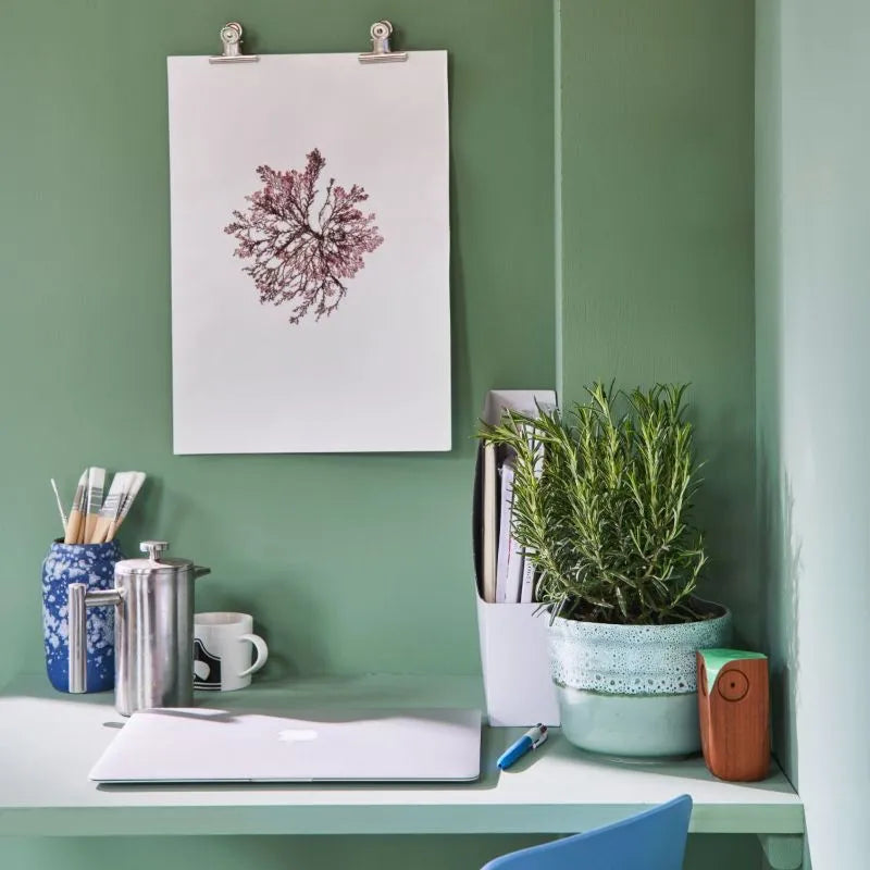 Farrow & Ball Farrow Ball Couleurs Vert Breakfast Room Green 81