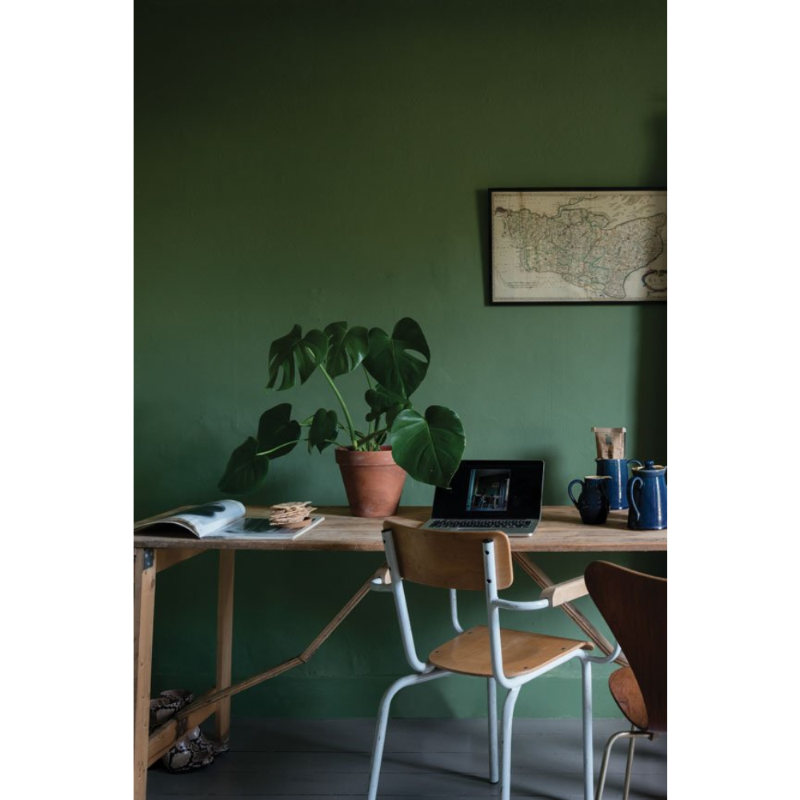 Farrow & Ball Farrow Ball Couleurs Vert Calke Green 34