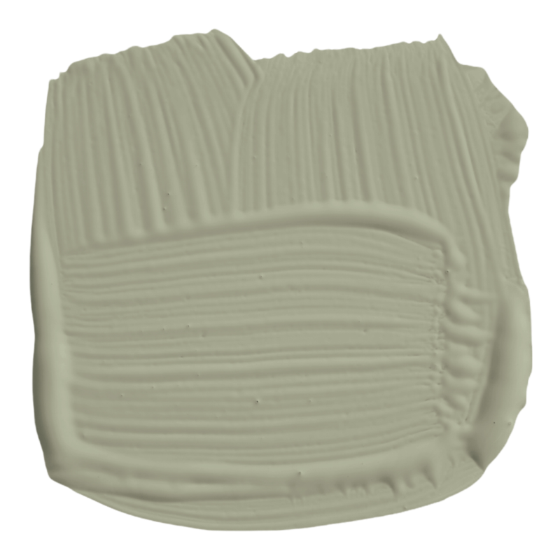 Farrow & Ball Farrow Ball Couleurs Gris Vert Lichen 19