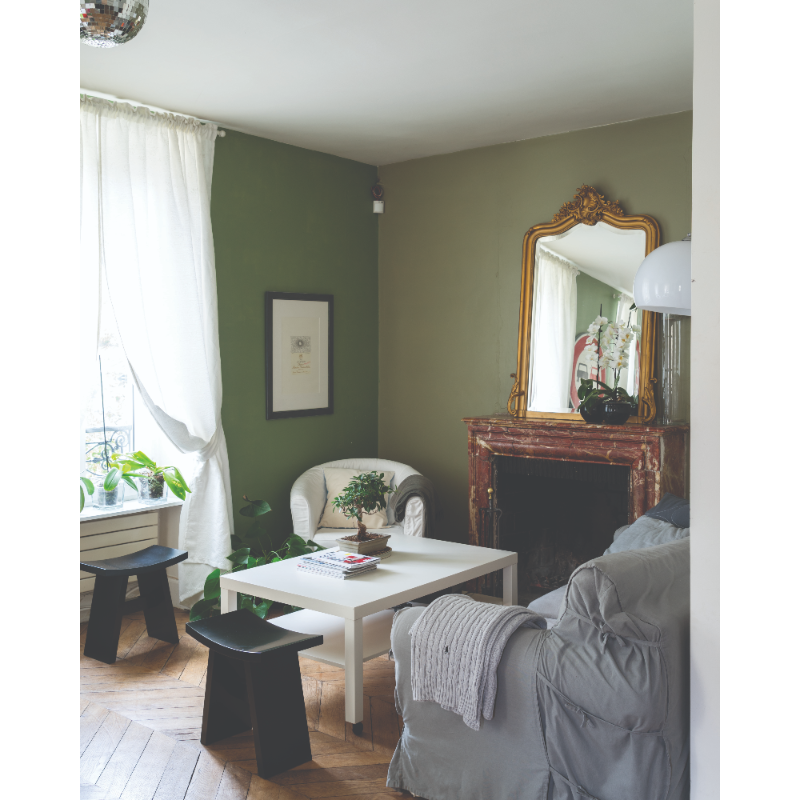 Farrow & Ball Farrow Ball Couleurs Gris Vert Lichen 19