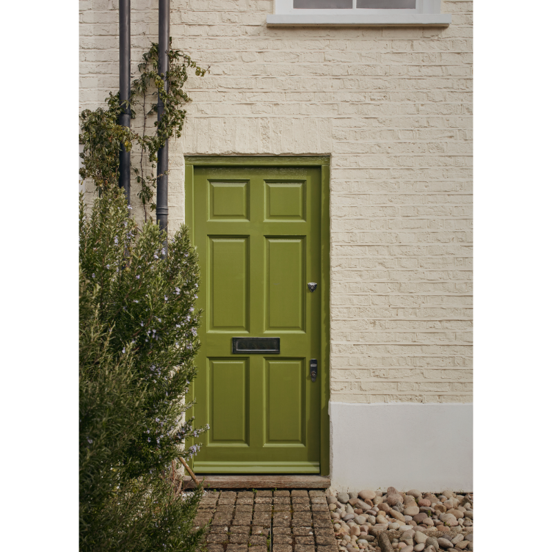 Farrow & Ball Farrow Ball Couleurs Vert Sap Green W 56