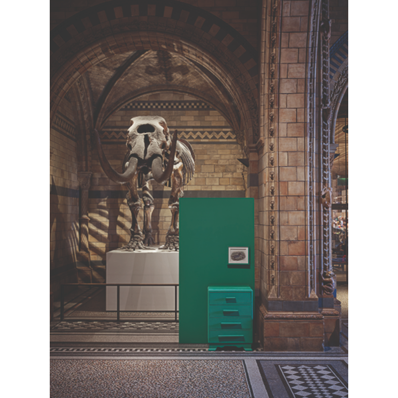 Farrow & Ball Farrow Ball Couleurs Vert Verdigris Green W 50