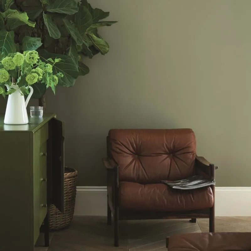 Farrow & Ball Farrow Ball Couleurs Vert Gris Foncé Treron 292