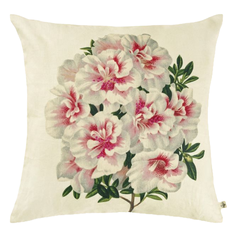 John Derian Coussin Variegated Azalea