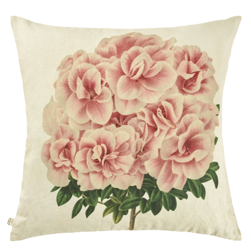 John Derian Coussin Variegated Azalea