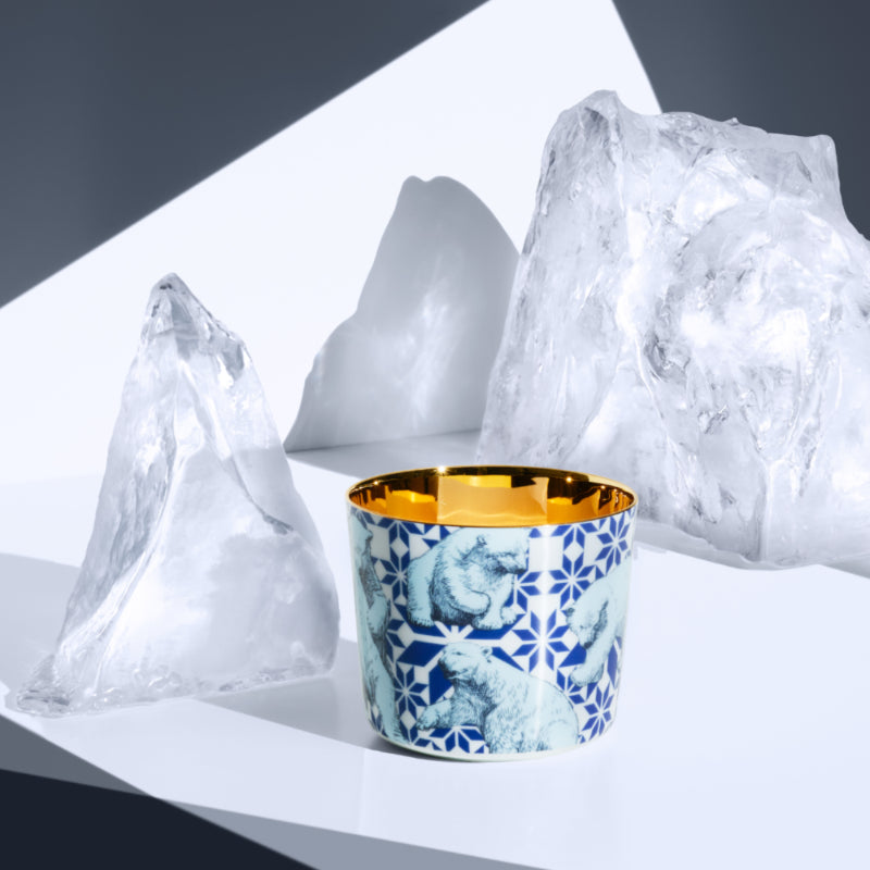 SIEGER by Fürstenberg Porcelaine Sip Of Gold Coupe à champagne The Polar Bears