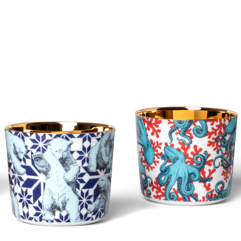 SIEGER by Fürstenberg Porcelaine Sip Of Gold Coupe à champagne The Polar Bears