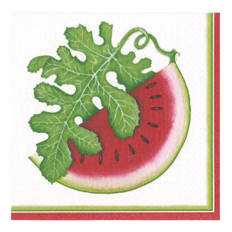 Caspari Serviette de déjeuner Watermelon Picnic