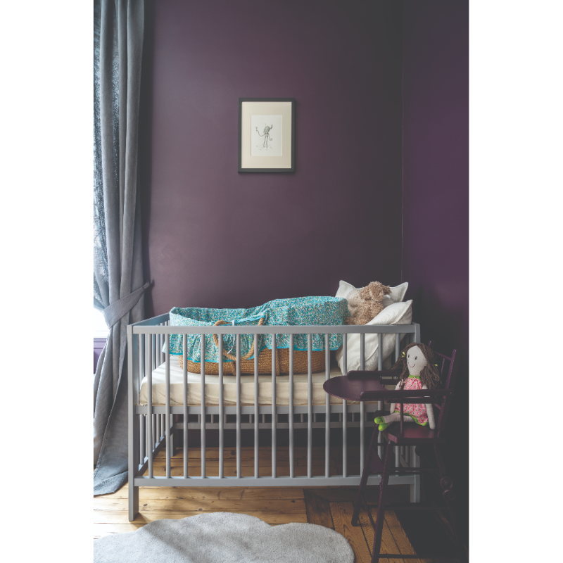 Farrow & Ball Farrow Ball Couleurs Aubergine Violet Pelt 254