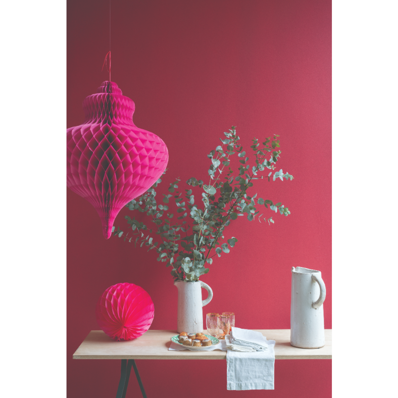 Farrow & Ball Farrow Ball Couleurs Rouge Rectory Red 217