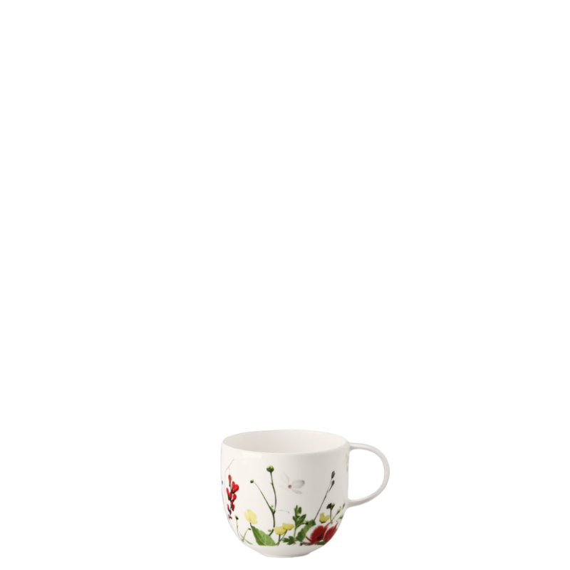 Rosenthal Fleurs Sauvages Vaisselle Porcelaine Tasse à café